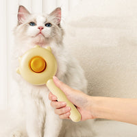 Hair Removal Cat And Dog Brush